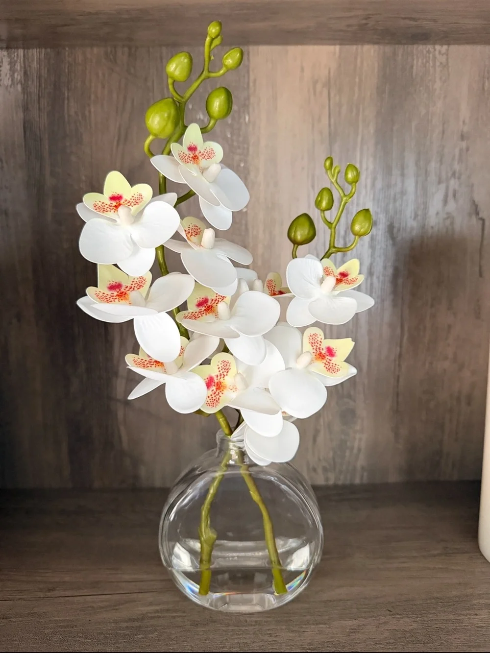 White Orchid Stem Arrangement in Clear Glass Vase